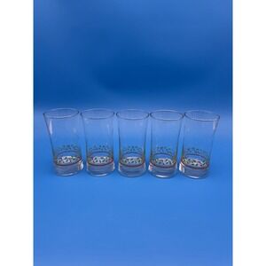Vintage Arby's Libbey Holly Berry Christmas Glasses Collection 1987 Set Of 5